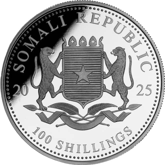 Avers moneda argint Leopard (African Wildlife) 2025 1 oz Somalia